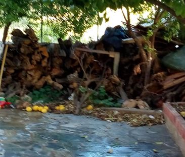 Μονοκατοικία για ενοικίαση Σκροπονέρια (Ανθηδώνος) - Photo 2