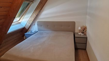3½ Zimmer-Wohnung in Fehraltorf (ZH), möbliert, auf Zeit - Photo 3