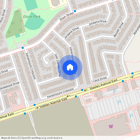 118 Irenemount Crescent Unit# BSMT, Markham