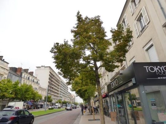 Appartement à louer, 1 pièce - Angers 49000 - Photo 1