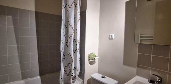 Location Appartement 1 pièce 28m² BLOIS 41000 - Photo 2
