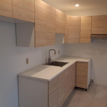 Saint-Rémi, 3 1/2 rénové à louer - Photo 4