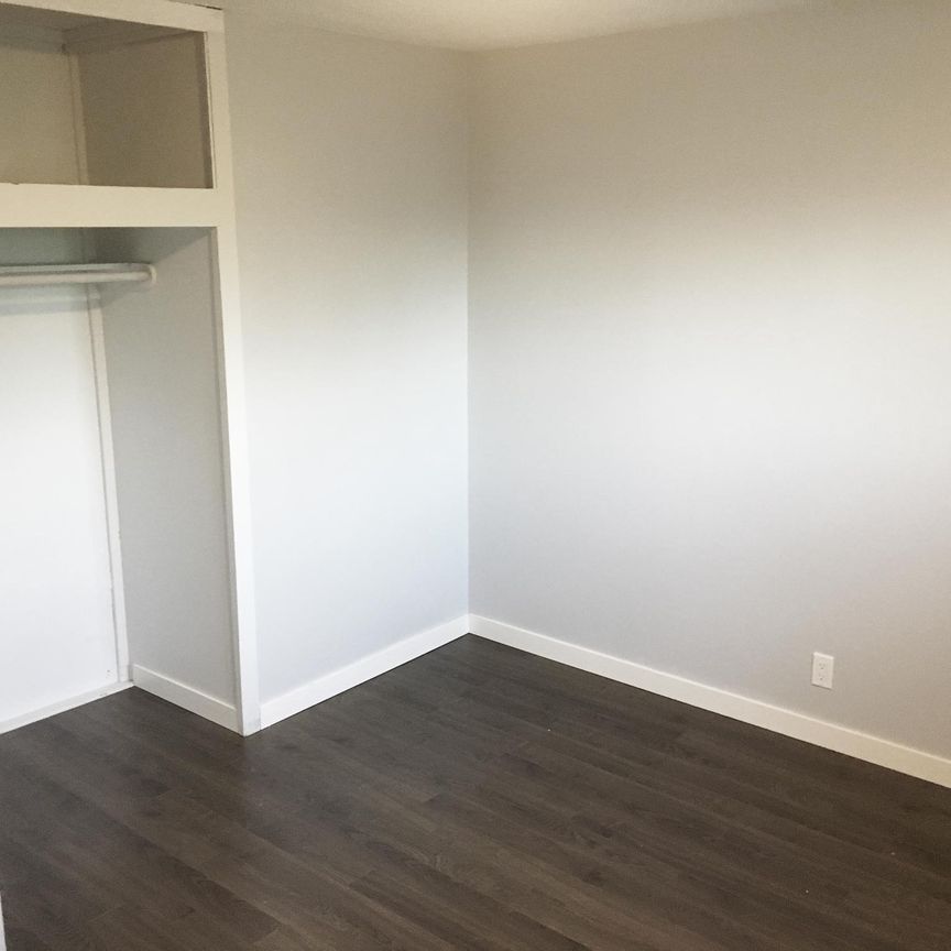 TWO BDRMS MAINFLOOR FOR RENT IN RADISSON HEIGHTS! - Photo 1