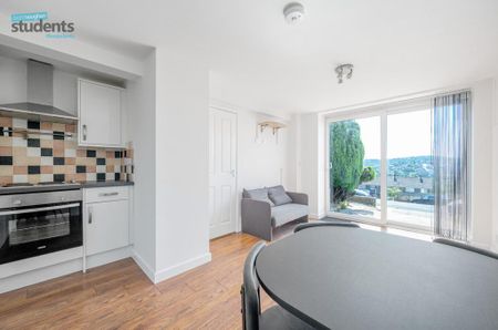 1 bedroom flat to rent - Photo 3