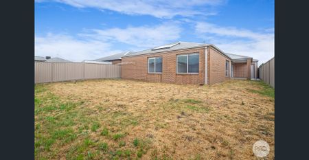 LARGE 4 BEDROOM HOME WITH 2 LIVING AREAS IN PRIME ALFREDTON LOCATION - Photo 3