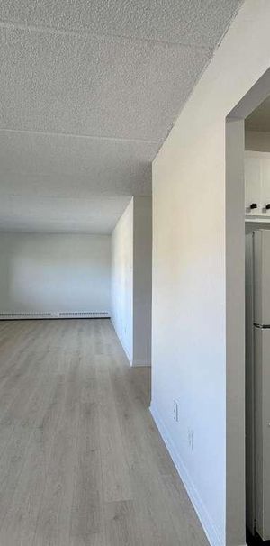 Grand appartement éclairé et chauffé - Photo 1