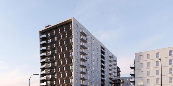 2 chambres - 5630 Rue De Marseille, Montréal - Est - Photo 3