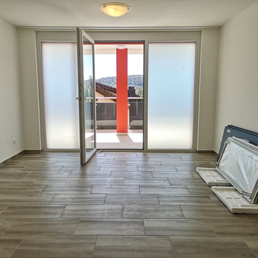 Magnifique appartement de 4,5 pièces avec terrasse et véranda, jardin 200m2 en option - Photo 1