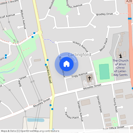 13 BUCKLAND AVE, NSW 2118, Carlingford