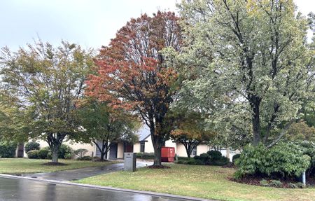 Large Executive Home - Photo 5