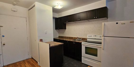 1 CH - 1 SDB - Montréal - $1,000 /mo - Photo 3