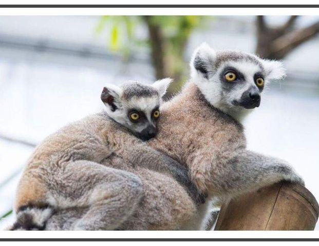 Ihre neue Familienoase mit EBK, Terrasse, Fahrstuhl & Fußbodenheizung! - Photo 1