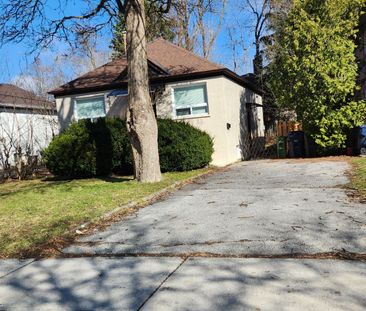 For Lease - 126 Olive Avenue, Toronto, Ontario - Photo 3
