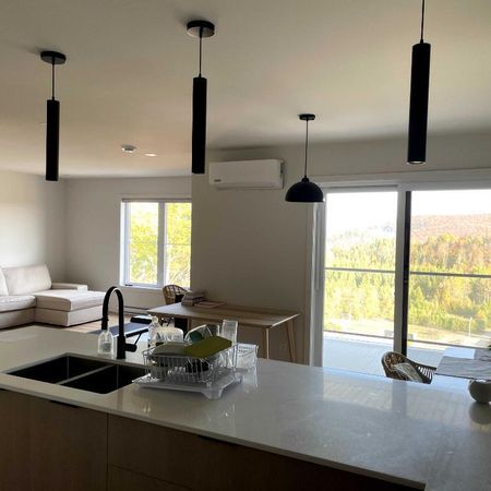 4 et demi quasi neuf à louer à Sainte-Agathe-des-Monts - Photo 3