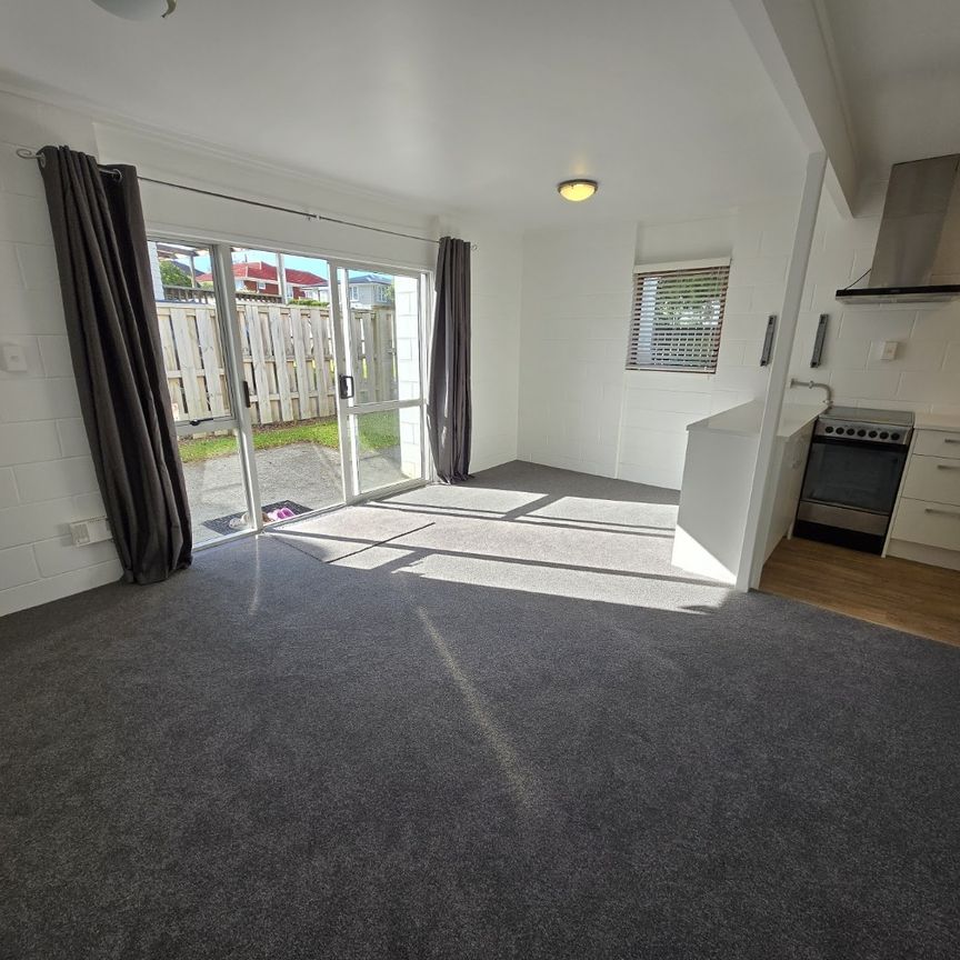 PAKURANGA HEIGHTS - Two Bedrooms - Photo 1