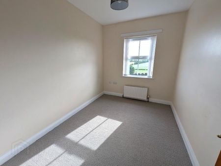 6 Ballynaleck Lane, Poyntzpass, BT35 6RE - Photo 3