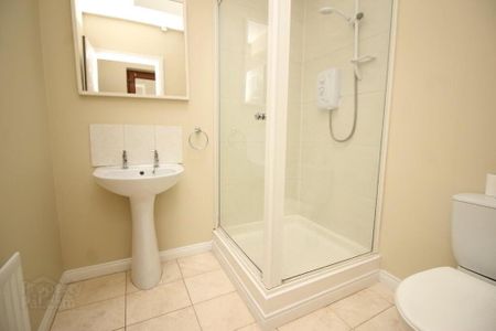 7a Lagan View Terrace, Dromore, BT25 1AD - Photo 4