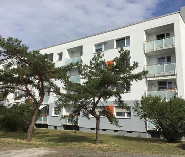 Helle 4-Zimmer-Wohnung in Lampertheim - Photo 3