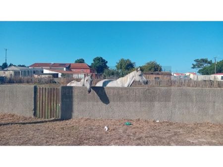 4 room luxury House for rent in Sintra, Lisbon - Photo 4