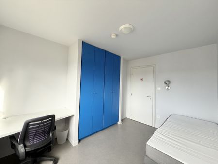 Location Appartement 1 pièce 12m² MITTELHAUSBERGEN 67206 - Photo 2