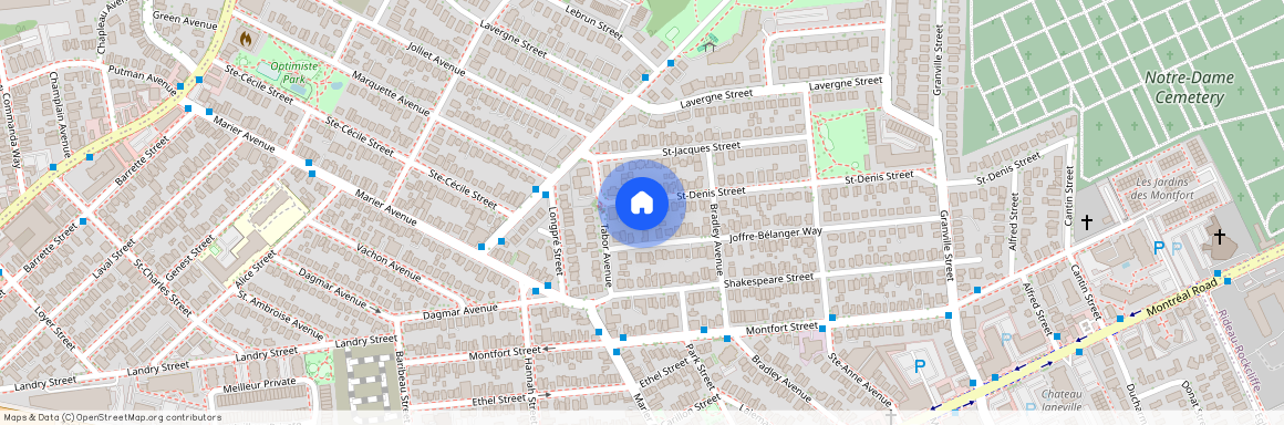 260 ST DENIS Street, Vanier And Kingsview Park