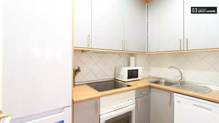 Spacious 1-bedroom apartment for rent in Centro - Foto 2