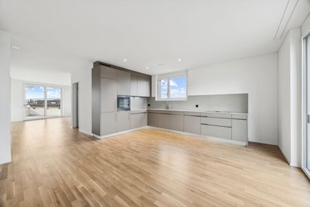 Neubauwohnung an traumhafter Lage direkt am Seeufer in Rapperswil-Jona - Photo 3