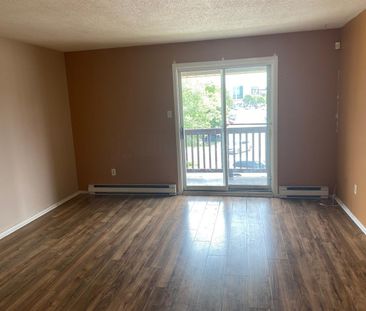 171 Boul. Hopital (Gatineau) Très Beau Logement De 2 Cc - Photo 3