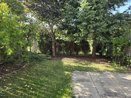 For Lease - 1159 Riddell Crescent, Milton, Ontario - Photo 3