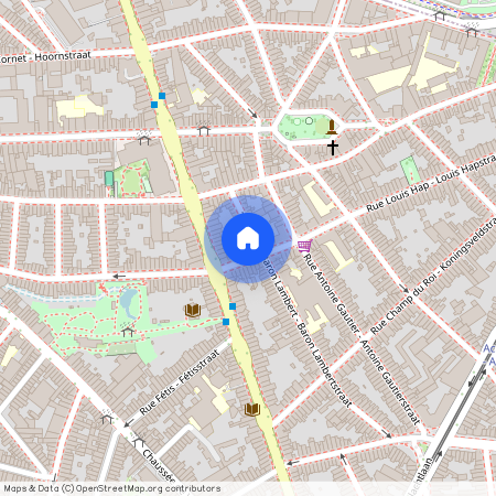 Louis Hapstraat, 100, 1040, Etterbeek