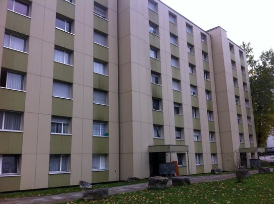 Rue Blaise-Cendrars 12 . appartement 6ème étage Est - Photo 1