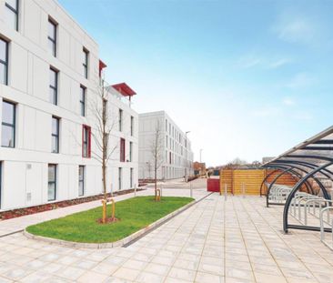 Studio to rent - Photo 1