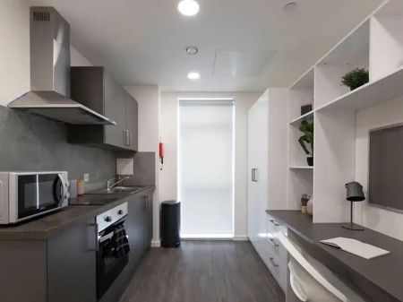 Classic Studio Lower - Photo 4