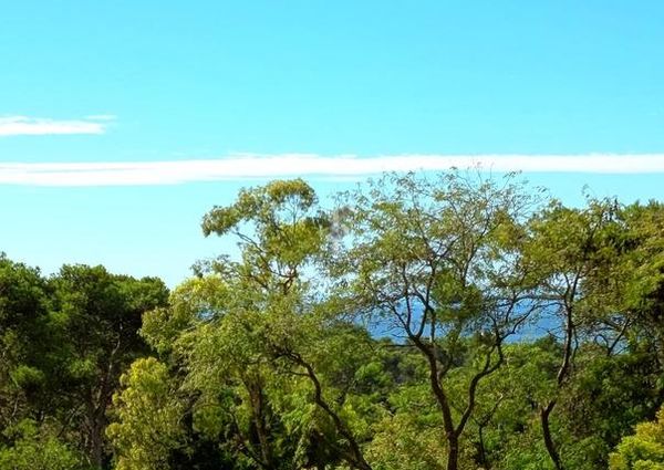 Apartamento T3 em Lisboa