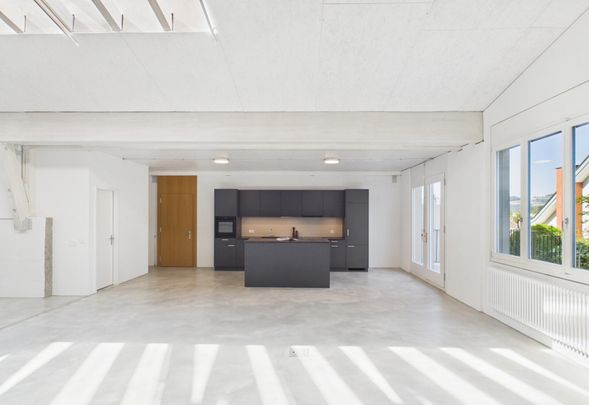 Einzigartige Loftwohnung mit attraktiver Sonnenterrasse - Foto 1