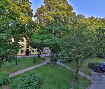 Katowice Koszutka, ul. ks. kard. Stefana Wyszyńskiego - Photo 3