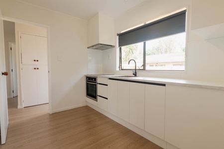 Newly Renovated in Remuera - Photo 4