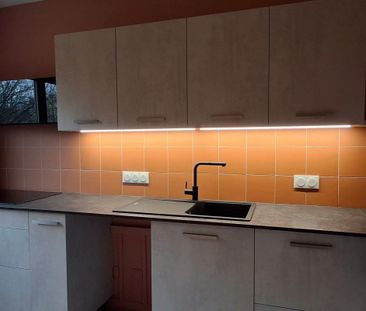 Location Appartement 3 pièces 75m² ECULLY 69130 - Photo 5