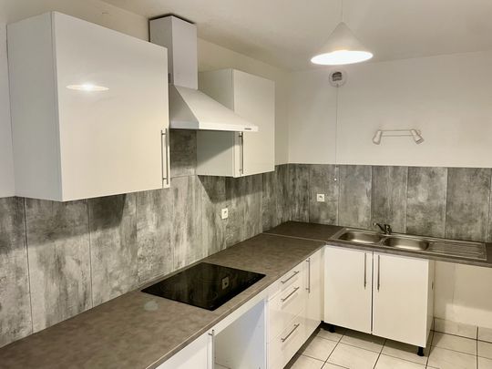 Location Appartement 2 pièces 50m² STRASBOURG 67200 - Photo 1