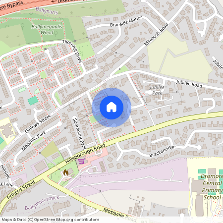 15 Mountview Drive, Dromore, BT25 1BP