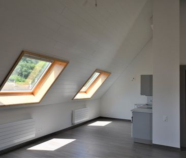 Joli studio de 47 m2 à Fontenais - Foto 5