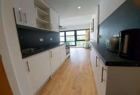 Castle Street, Swansea, SA1 - Photo 3