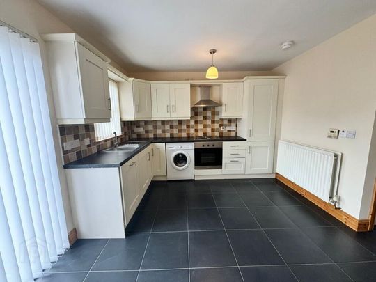 49 Demesne Grove, Moira, BT67 0DS - Photo 1