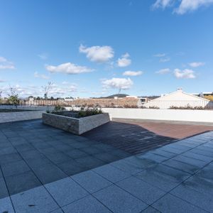 106/34 Eyre Street, Kingston ACT 2604 - Apartment For Rent | Domain - Photo 2