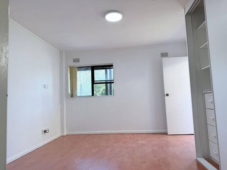 Renovated Spacious 2B2B on House whole level Bills included - Photo 4