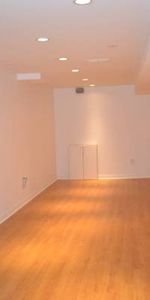 Bright Fully Renovated Clean Studio Basement Apartment - Photo 4