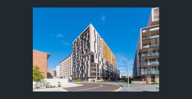 Fully Furnished Modern One Bedroom Plus Study In Zetland - Photo 1