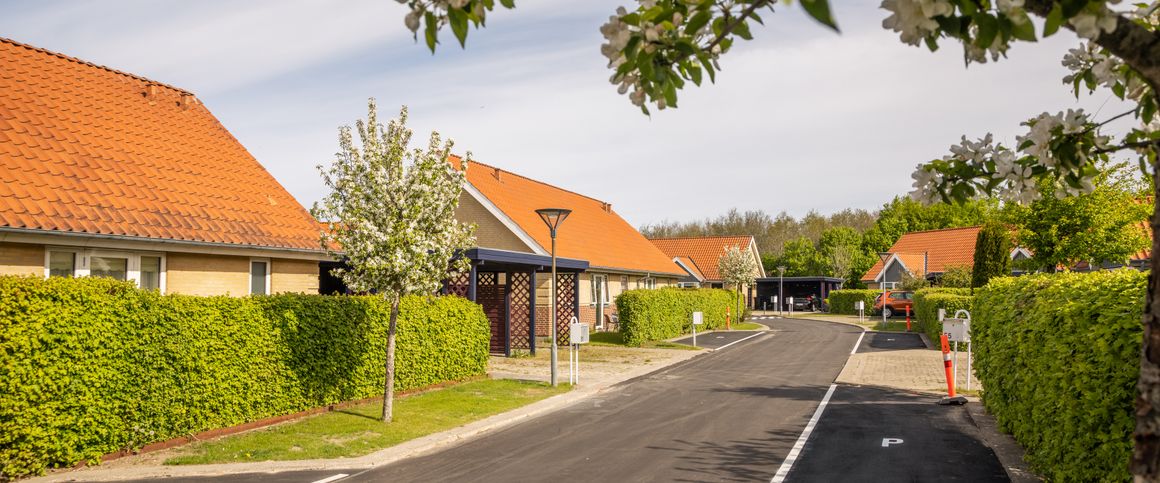 Ellehammersvej og Ulrik Birchs Vej - Photo 1