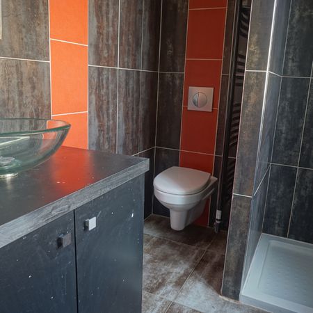 Location Appartement 1 pièce 21m² - Photo 3