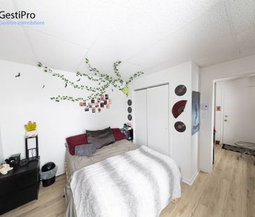 426-430 Bouffard - Photo 6